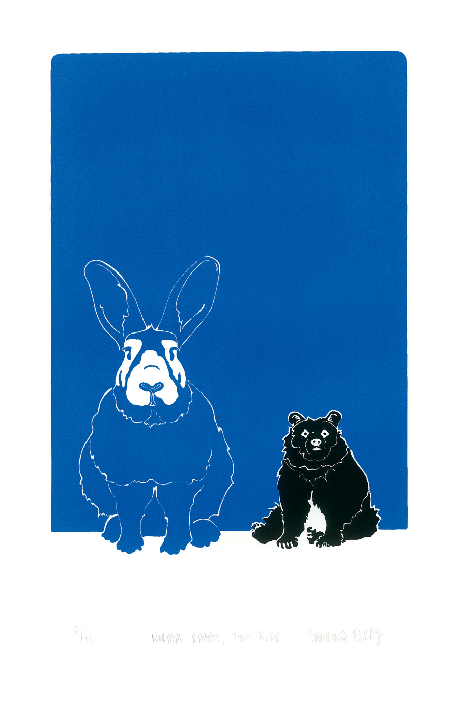 normal rabbit tiny bear